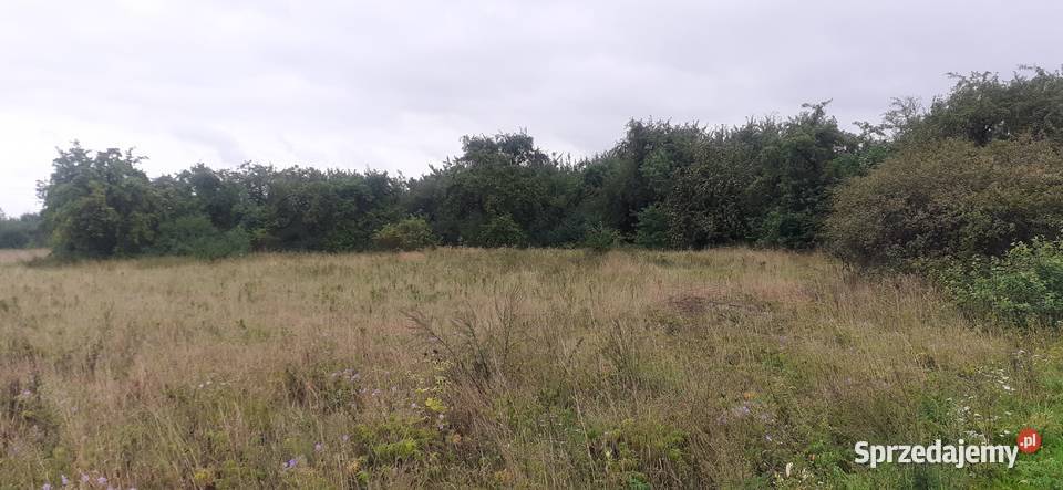 Ninków działka rolnobudowlana 9720 m asfalt