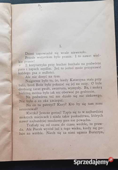 Jan Grabowski Puc Bursztyn i goście Nasza Koźminek