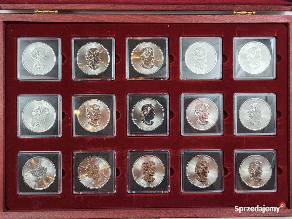 Kolekcja monet srebrynych Maple Leaf 1 oz 15 Lublin