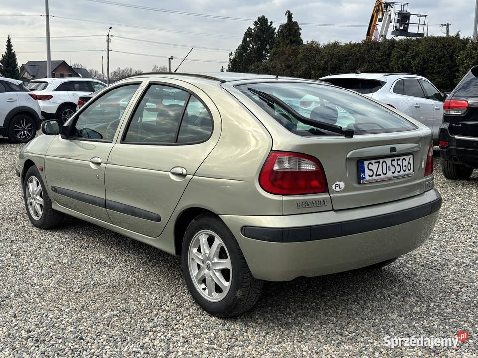 Renault Megane Paniówki