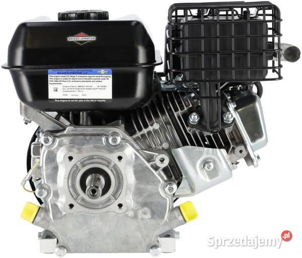 Silnik seria 750 OHV BS 1062320037H5 małopolskie