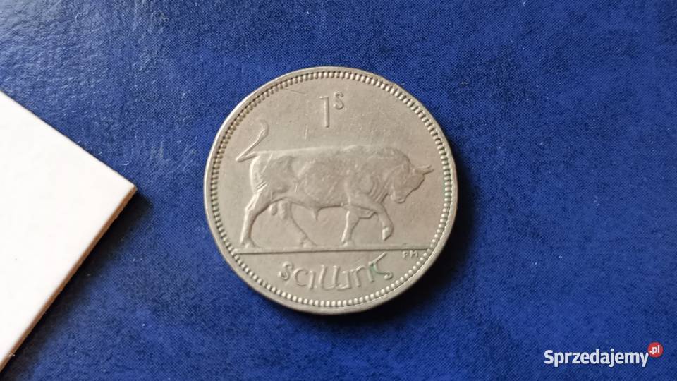 Stare monety 1 szyling1963 Irlandia Lesko sprzedam