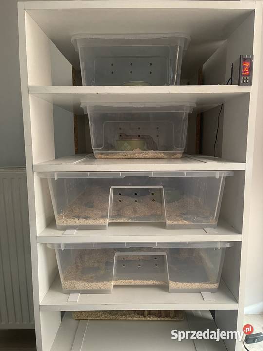 Rack System na Samle z Ikei Warszawa