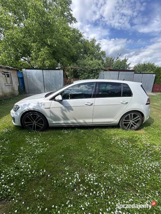 Volkswagen Golf VII Czernina