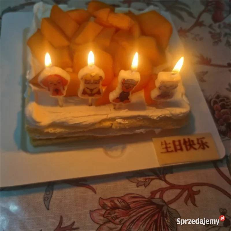 Urodzinowe świeczki na tort Psi Patrol 5 sztuk