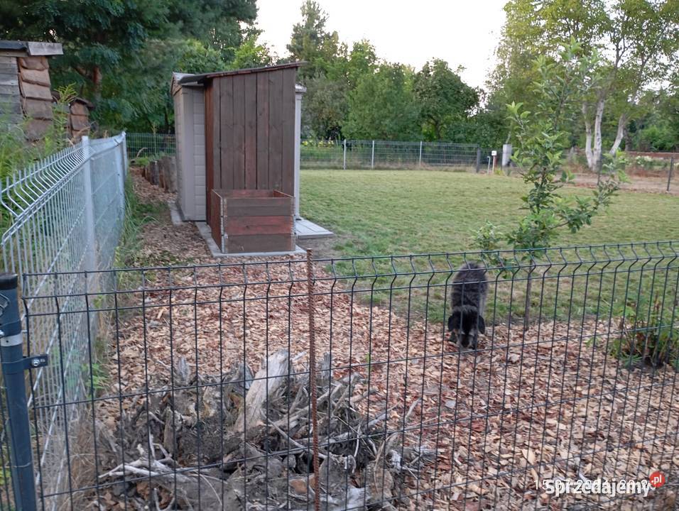 Działka na ROD Storczyk Radom WitosaRataja mazowieckie sprzedam