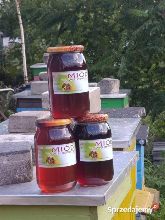 Miód wielokwiatowy Miody i produkty pszczele