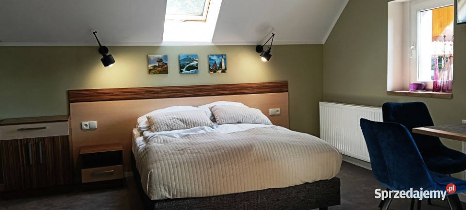 Piękna Willa z apartamentami na wynajem w sercu 480m2