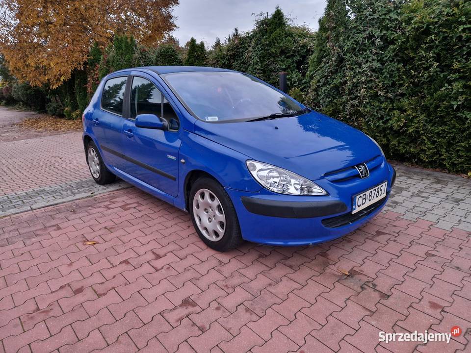 Peugeot 307 stan techniczny Sprawna klimatyzacja kujawsko-pomorskie