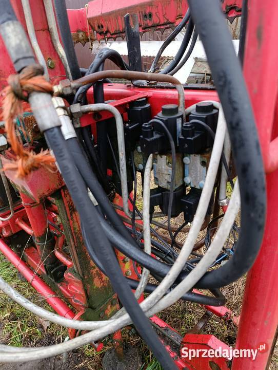 Wycinak vikon części mazowieckie Borki