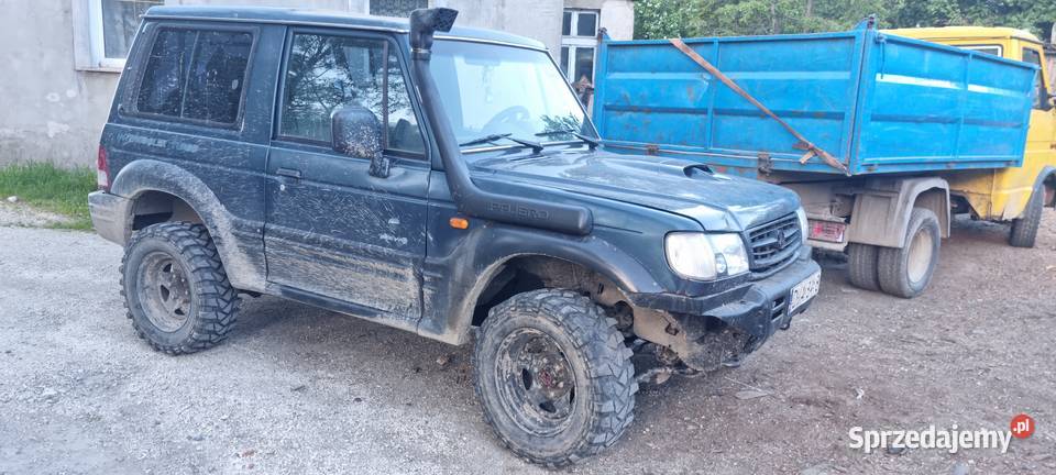 Spszedam galloper 25 Stronie Śląskie