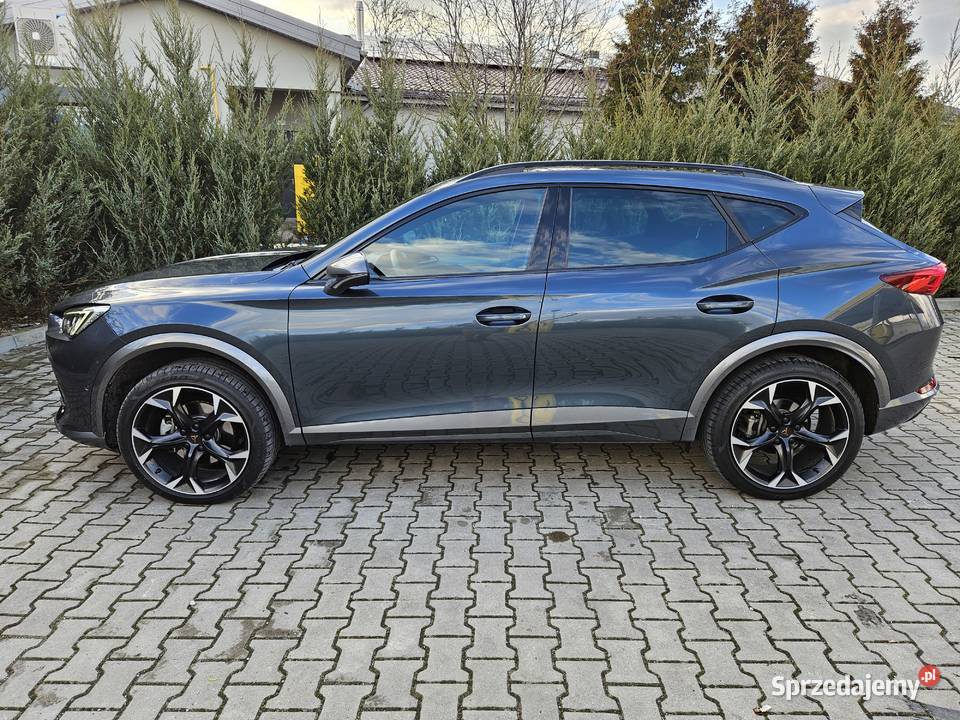 Cupra Formentor 20 TSI 190 DSG 4Drive Korsze