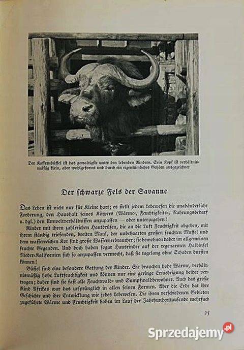 DAS REICH DER TIERE 1937 r Josef Schmid Artur śląskie Chorzów