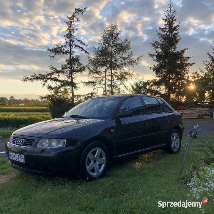Audi a3 8l 2000 lubelskie Łęczna