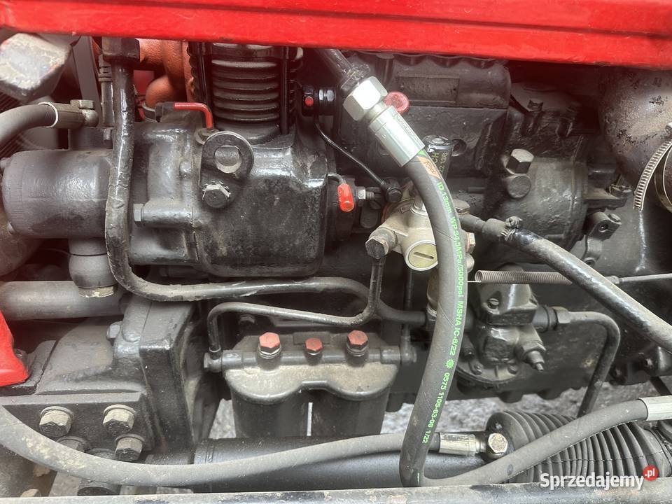Zetor 7011 zadbany Szklarnia
