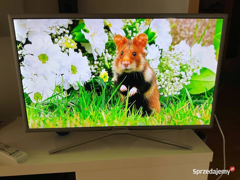 Samsung Smart TV 32 Samsung wielkopolskie Wągrowiec
