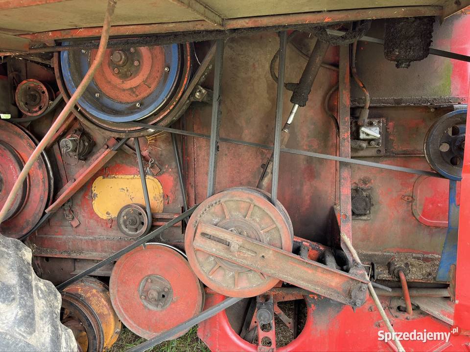 Kombajn Bizon Z056 super heder do kukurydzy Pilczyca