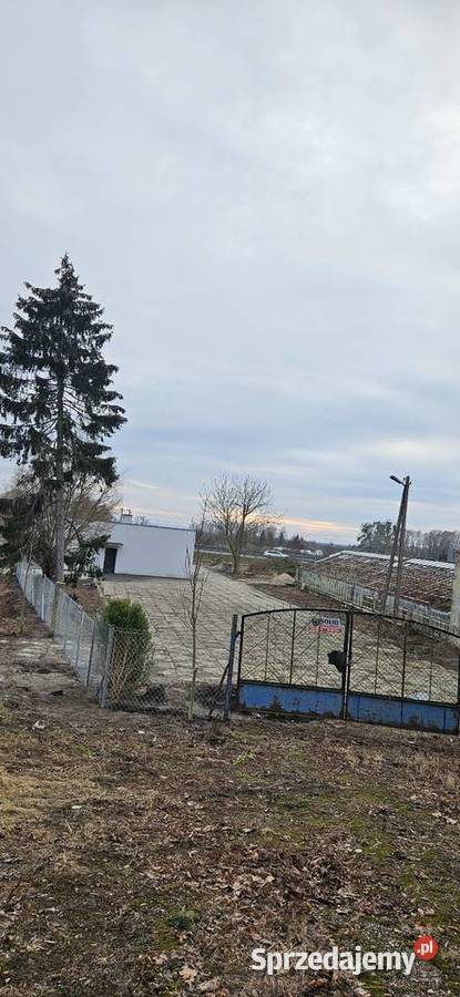 Hala magazyn warsztat koło Elbląga Wynajem Elbląg