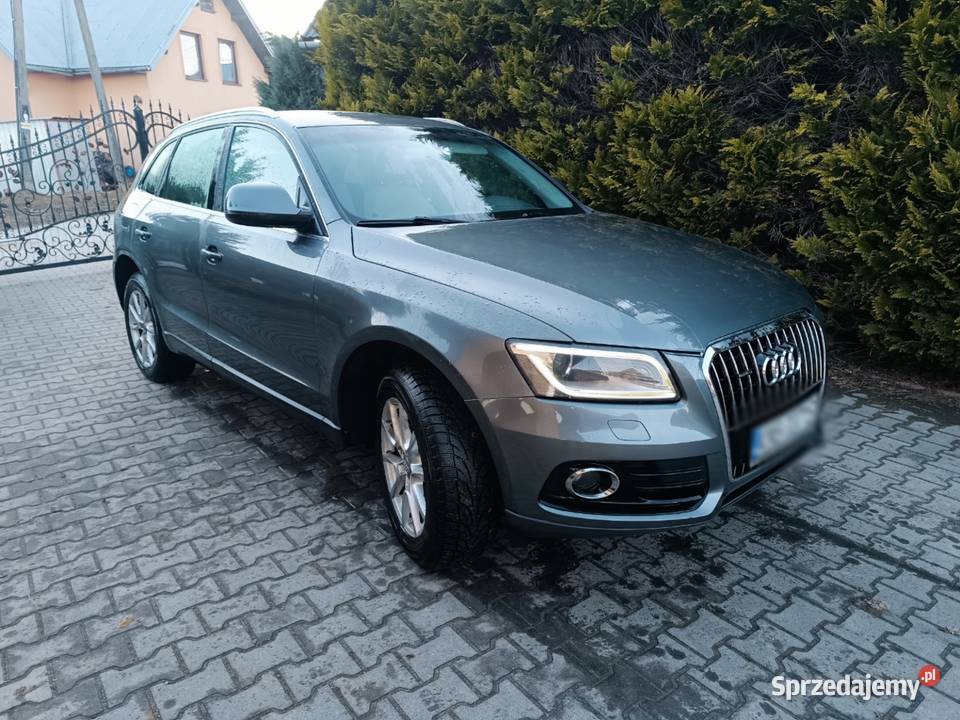 Audi Q5 20 TDI 177 automat 4x4 quattro navi nieuszkodzony Nowy Sącz sprzedam
