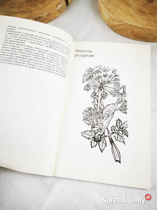 Ziołowe przyprawy kuchenne Wiśniowa