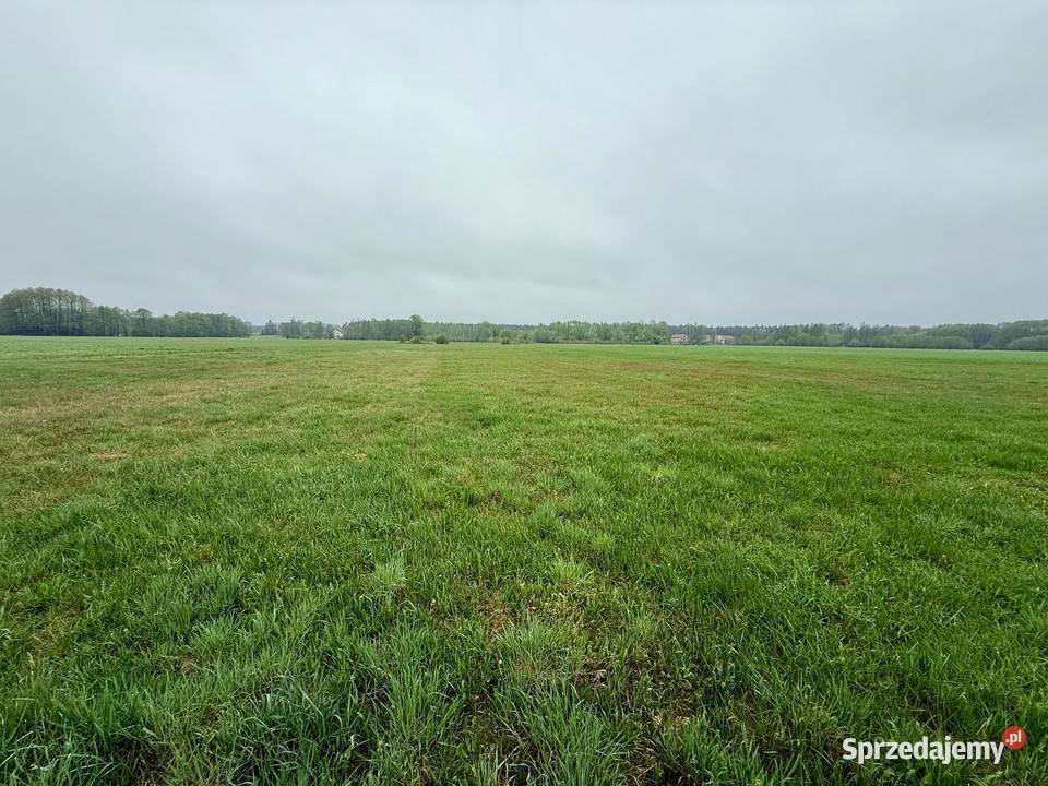 Młyny Piekarskie gmDobradziałka rolna na polna wielkopolskie sprzedam