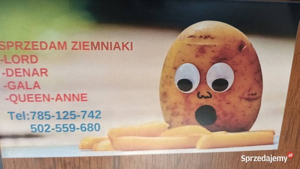 Ziemniak jadalny