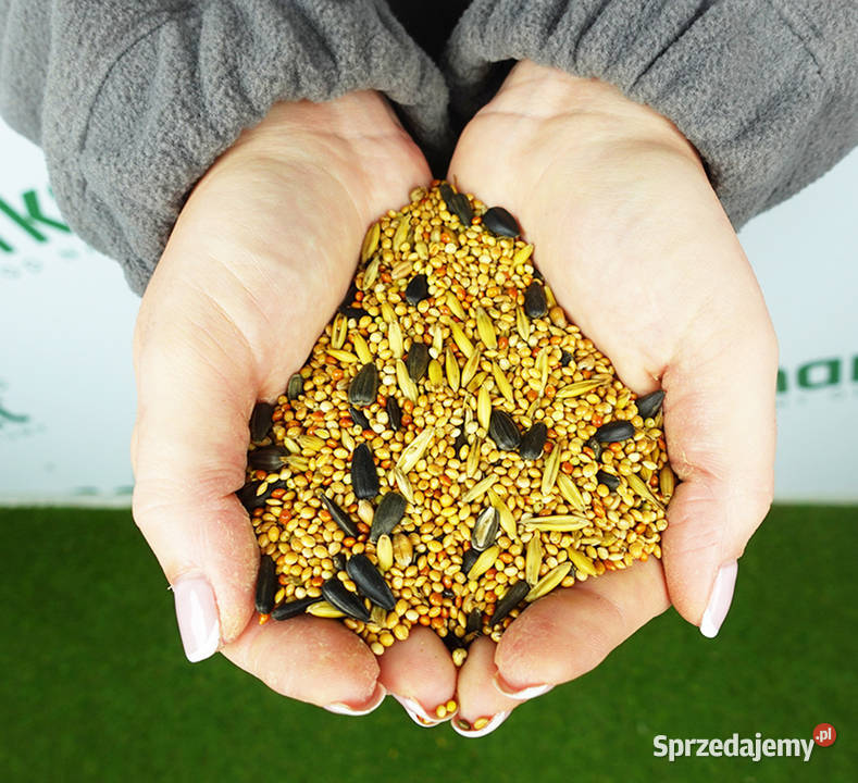 Karma pokarm Papug małych średnich dużych 10 Cieśle