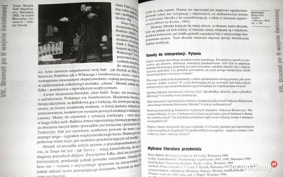 Literatura współczesna Anna Nasiłowska lubelskie Chełm