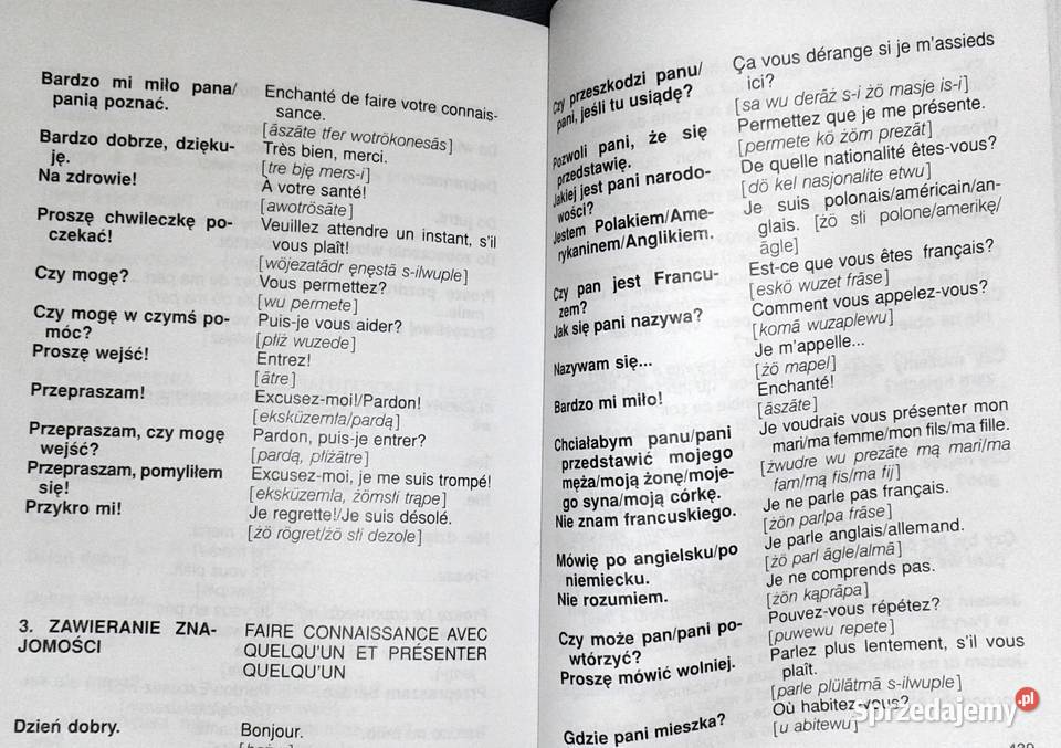 Francuski słownik z rozmówkami Mirosława Rok wydania 2013 Chełm