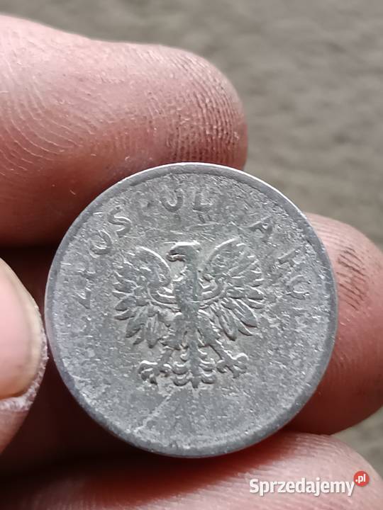 Sprzedam zatarte 20 groszy nie widac daty Chełm sprzedam