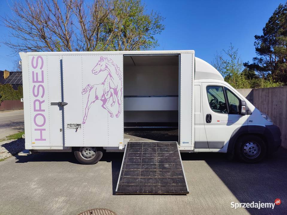 Fiat Ducato Koniowóz Maxi 160 Sopot