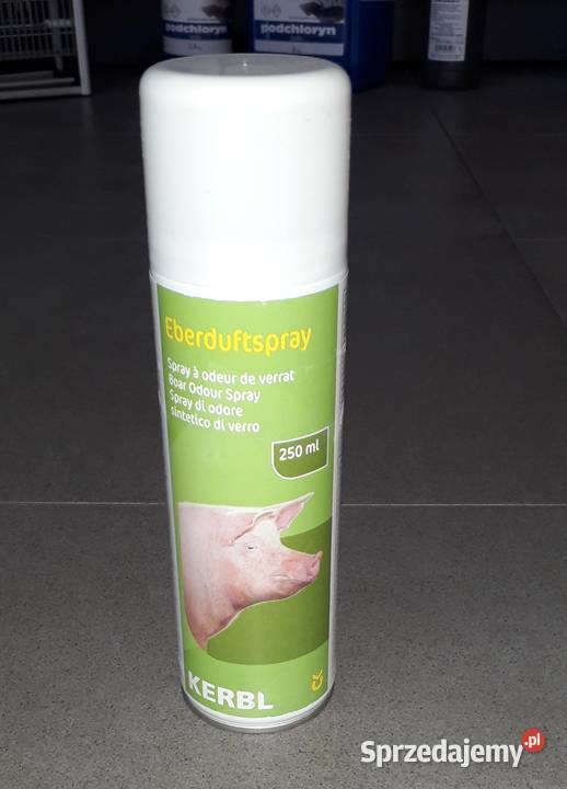 Spray do wykrywania rui u loch Zapach knura 250 Drzonek sprzedam