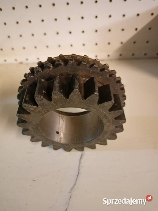 Koło 4 biegu mazowieckie