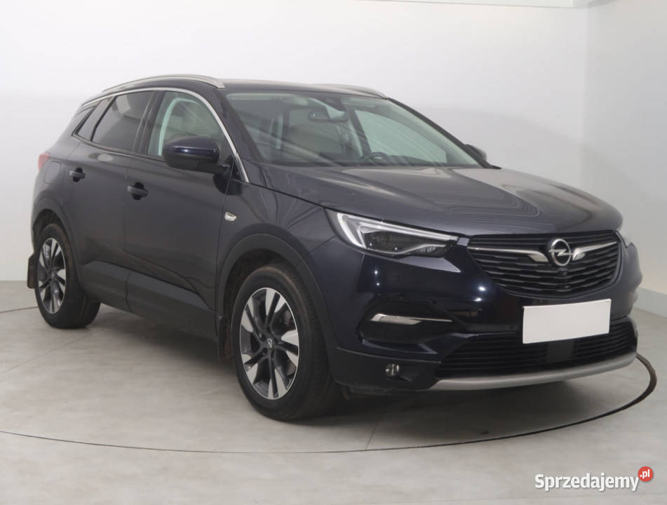 Opel Grandland 12 Turbo asystent pasa ruchu dolnośląskie