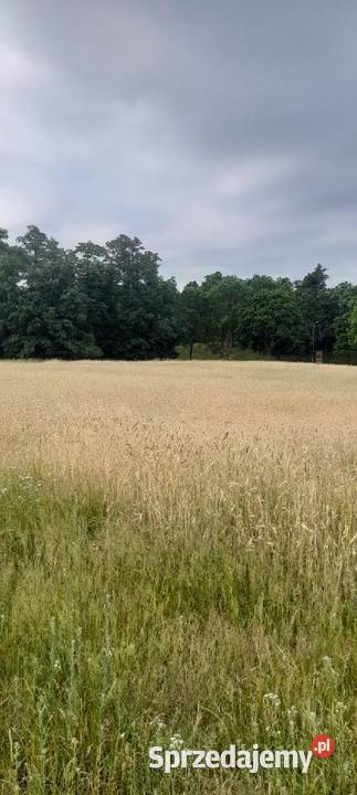 Działki budowlane na sprzedaż Hetmanice