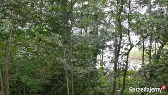Działka rekreacyjna 3400m2 Trzebawie Trzebawie