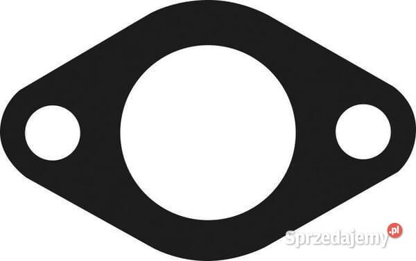 Uszczelka 110607016 małopolskie