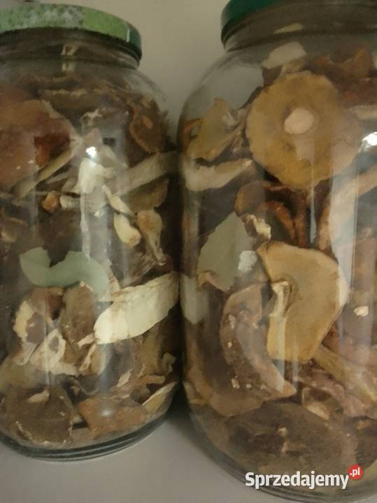 Grzyby suszone Rypin