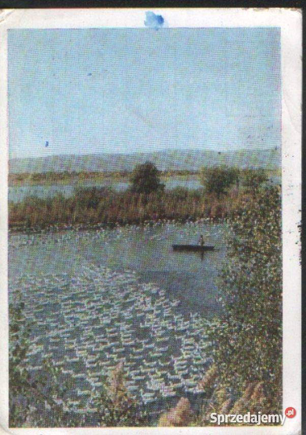 K K Poczt RepTadżykistan widoki Jesień z koresp śląskie Gliwice