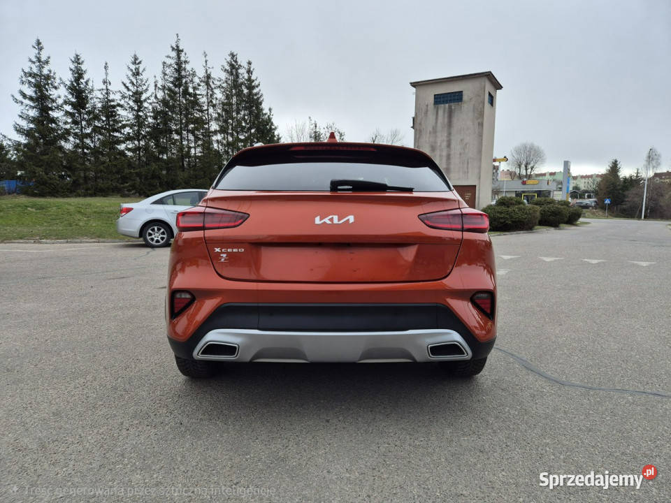 Kia XCeed MSmart 16 TGDI 160 SUV Giżycko