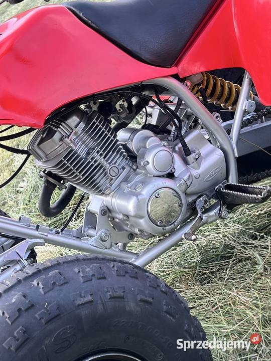 Warta Honda barossa smc 180150cc Koźminek
