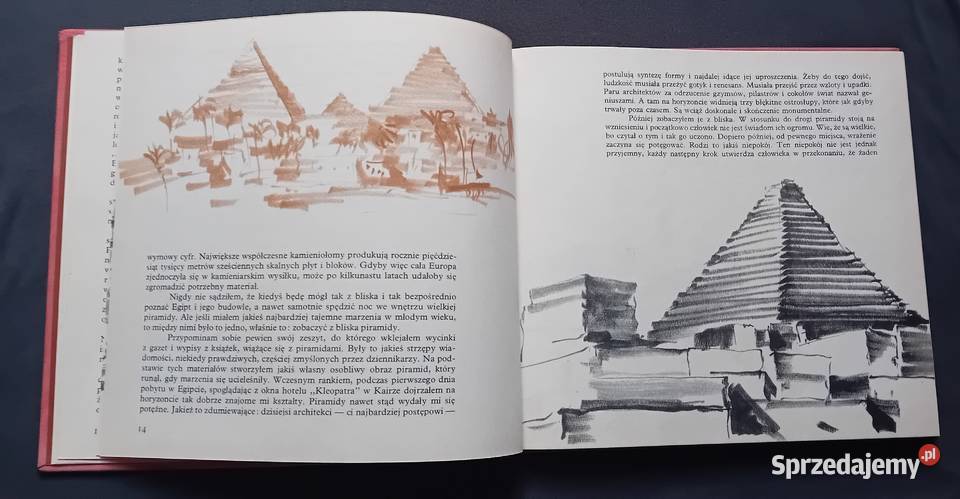 Wiktor Zin Piórkiem i węglem Piękno potężne Koźminek