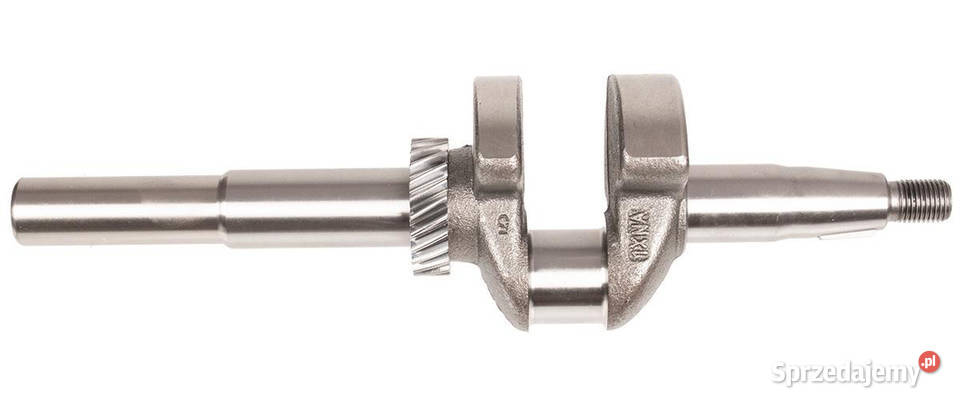 Wał korbowy silnik Cedrus Y173VE 481689 sprzedam