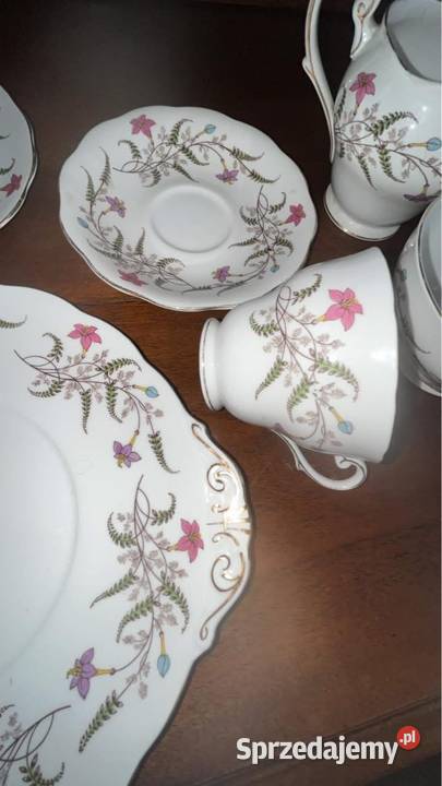 Serwis Fancy Free z Standart England Gdańsk