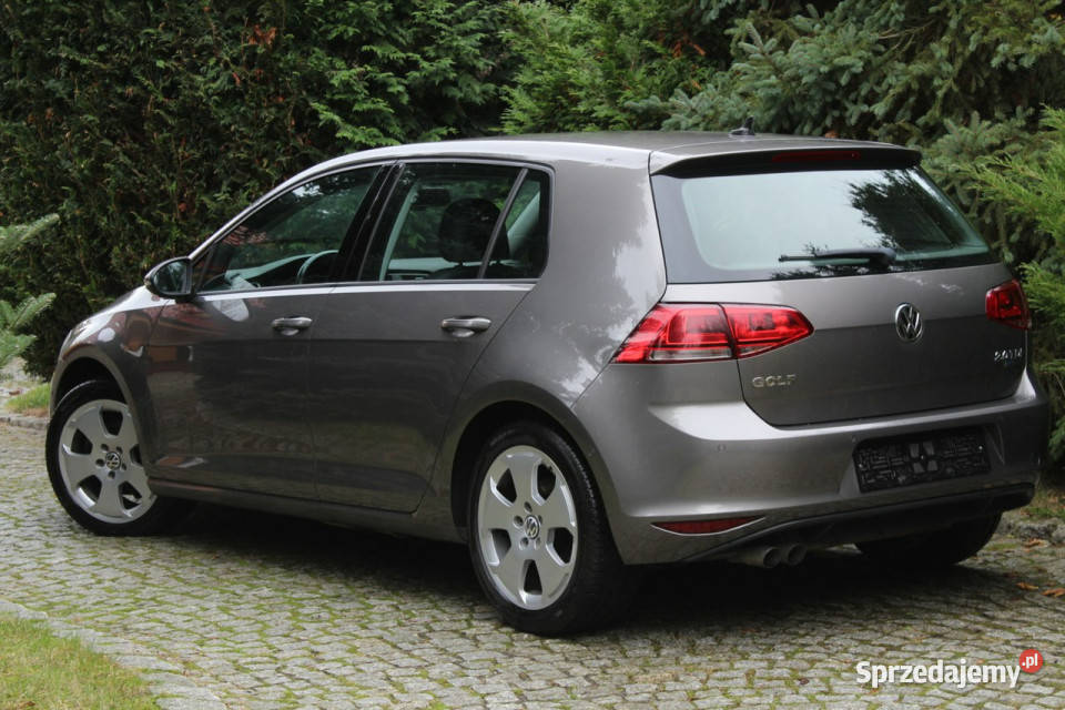 Volkswagen Golf TDI 150 DSG 188 VII 2012 diesel Lubań