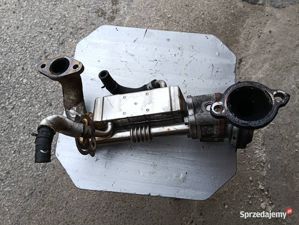 CHŁODNICA SPALIN EGR MAZDA 6 22 CITD R2AA20304 Lublin