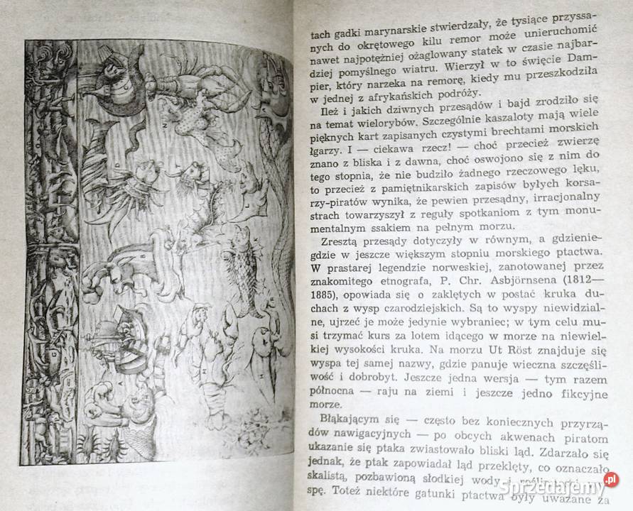 Czarne żagle czterdziestu mórz Lew Kaltenbergh lubelskie Chełm sprzedam