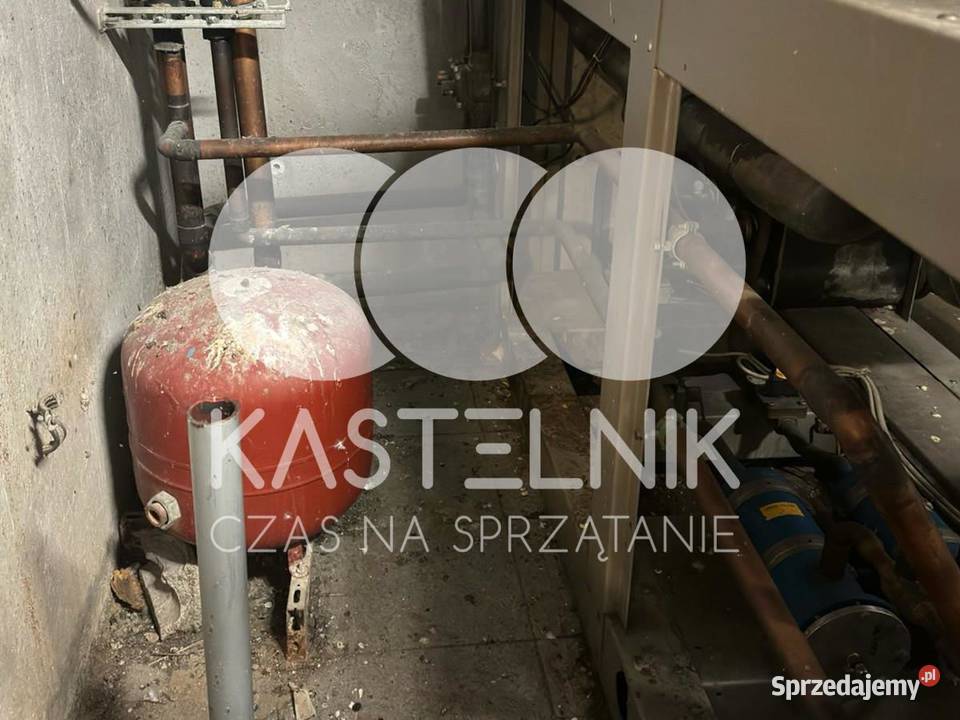 Sprzątanie gołębiach Gostyń Kastelnik mycie