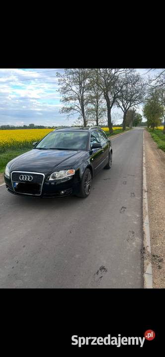 Audi a4 b7 cala na części Budki Piaseckie