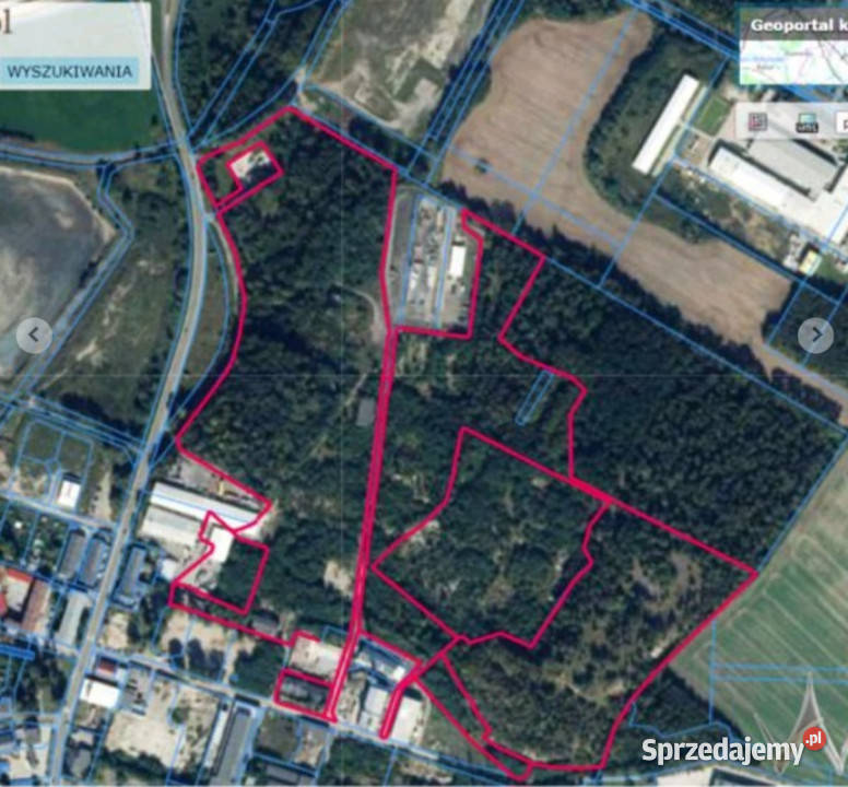 OKAZJA licytacja 266 ha działka usługi produkcja 15zł/m2 dolnośląskie Żarów